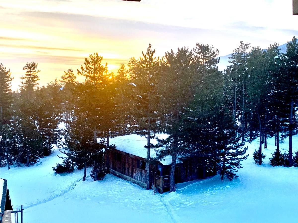 Entire Private Apartment In Pirin Golf & Country Club Bansko Luaran gambar